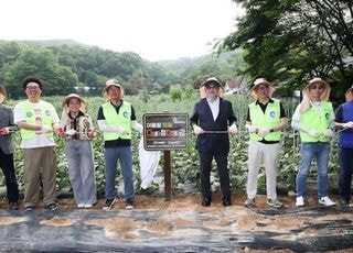 전북서 인천까지 이어진 자원봉사…10주간 지역 실험 마무리