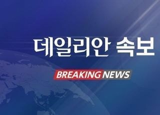 [속보] 李대통령 "3대 메가프로젝트 환경영향평가 대폭 단축…속도전 중요"