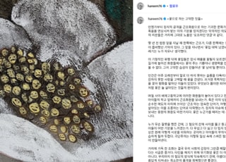 가수 하림, 배재고 근조화환 비판 "혐오를 무기화한 문화"