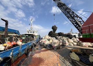 어항공단, 고성 당동만 오염퇴적물 1535t 수거