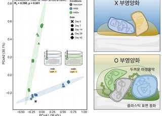 녹조·플라스틱 ‘따로 관리’ 안 된다…미생물막이 표면 산화 촉진