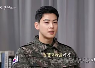 추징금 130억 납부하고선…차은우 "과세 부당하다" 조세심판 청구