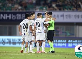 얼굴 가격 당한 수원 헤이스, 축구협회 오심 인정…극장골 취소는 정심